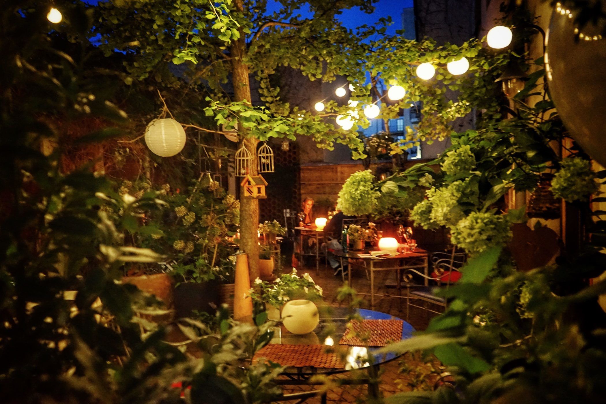 Dresden's restaurant scene