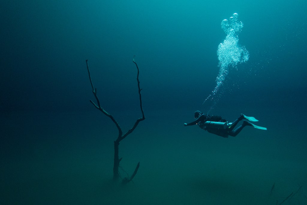 Klaus Thymann Diving