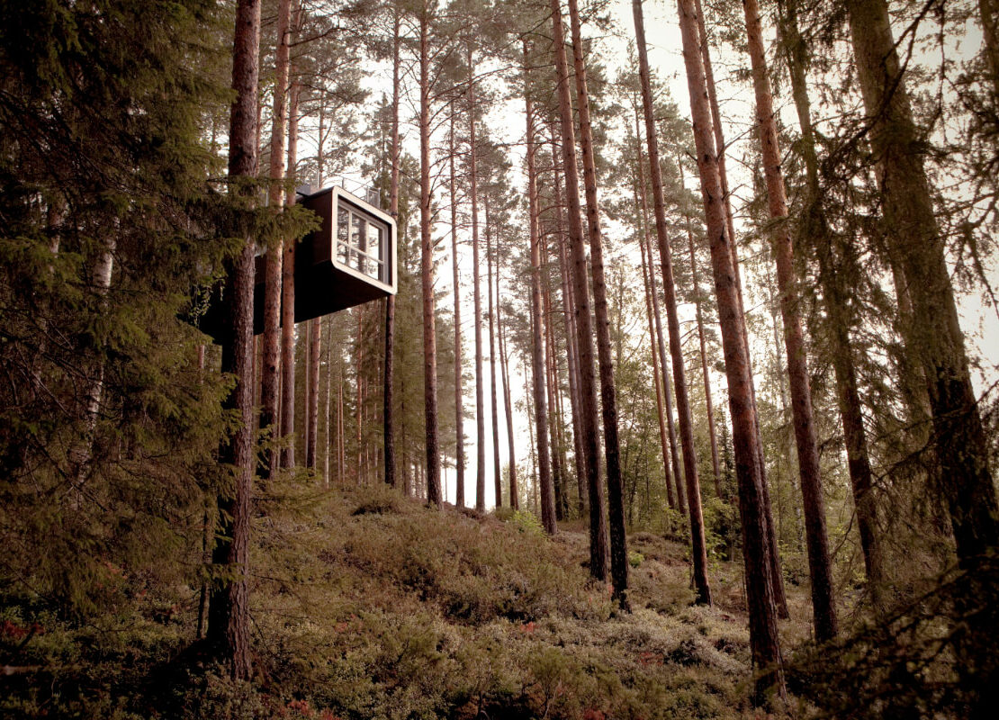 The Treehotel