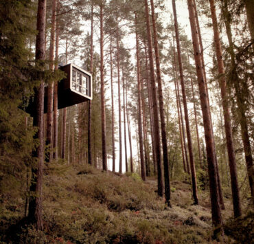 The Treehotel