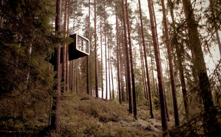 The Treehotel